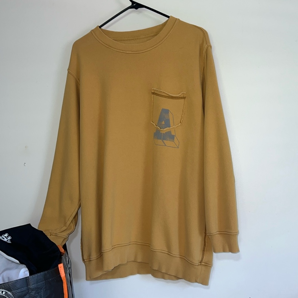 Aerie sweatshirt